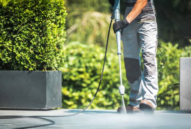 Best Sidewalk and Walkway Cleaning  in South Coatesville, PA